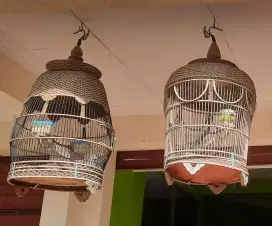 Pertukut  Bangkok Suara Enak