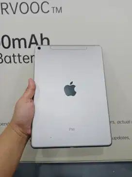 Ipad pro 32 gb wifi only