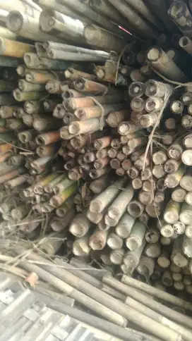Jual bambu mandiri jaya
