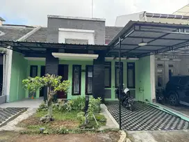Rumah Disewakan Murah di Kawasan Elite Palagan