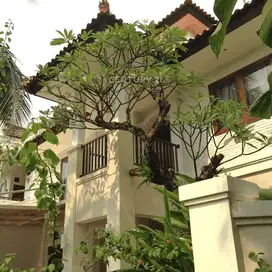 Rumah Tropical Modern Di Bintaro Jaya 8375