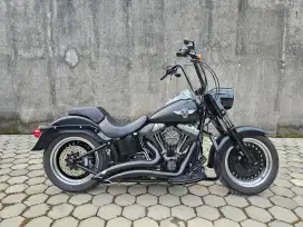 Harley Davidson Fatboy Lo 2012 Full Paper