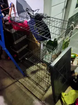 Kandang Kucing 2 tingkat