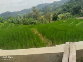 Dijual sawah tanah kebun