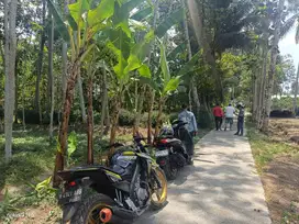 Tanah Pekarangan Tubo Purwosekar Tajinan Malang