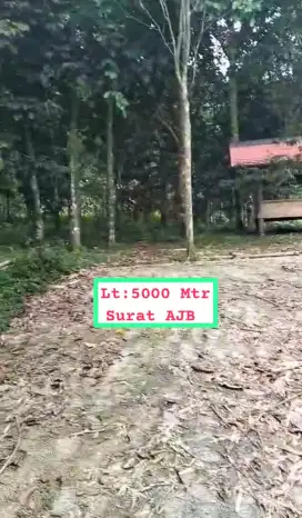 Jual tanah kebun durian murah Rumpin Bogor barat