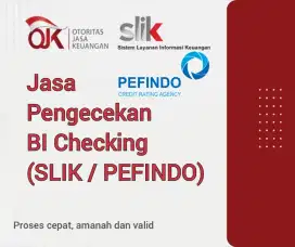 Jasa pengecekan BI checking