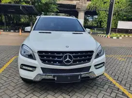Mercedes-Benz ML250 2015 Diesel