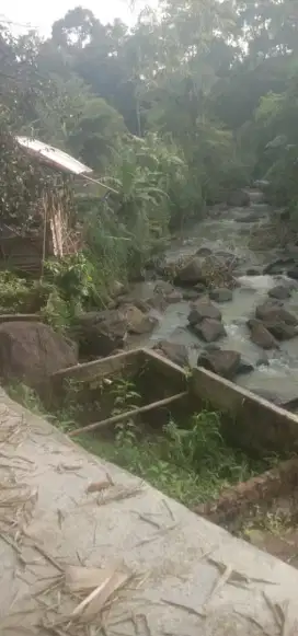 Raning nempel kali D bogor barat leuwiliang