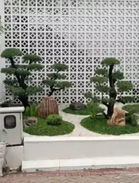 Jasa pembuatan taman kering dan pohon Hias indor