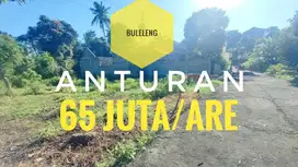 Tanah murah di jual buleleng