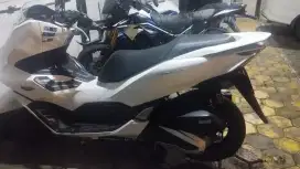 Honda PCX warna putih