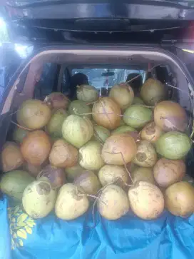 Dibutuhkan segera untuk jualan di warung es degan