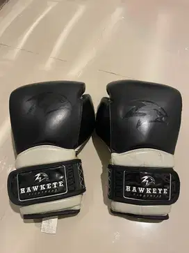 HAWKEYE BOXING GLOVE