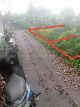 tanah luas 131m2 lokasi barat pasar pakem jl kaliurang km 16