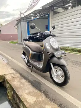 Scoopy Stylish 2021