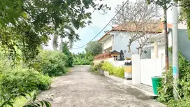 Tanah murah 3 are Central Lovina