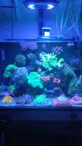Aquarium air laut fullset