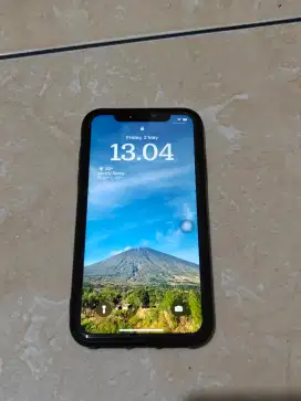 iPhone XR 64 Whitelist