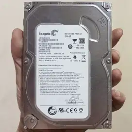 HDD Komputer PC Seagate 250GB. Sentinel 100/100