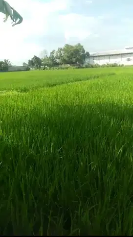 Jual Lahan di Kawasan Industri Pancatama, Serang, Banten