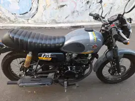 Kawasaki W 175 Cafe Racer 2024