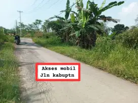 Jual tanah kebun murah nanggung lewiliang bgr