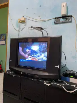 Tv Tabung Sharp Alexander