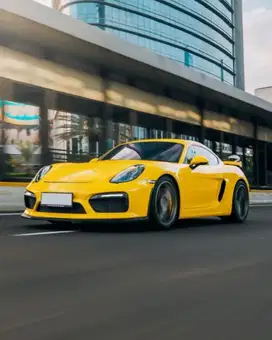 Porsche Cayman GT4 2016