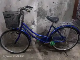 Sepeda keranjang dewasa