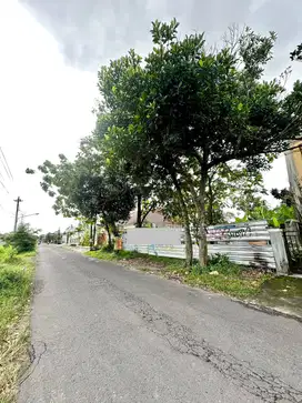 Tanah pinggir jalan utama jambon dekat ringin jln kabupaten