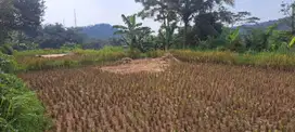 Tanah Sawah 2572 m, Dekat Pintu TOL 4 km, Darangdan, PWK.