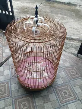 Kandang sangkar murai no 1