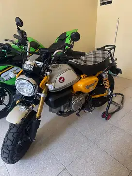 Honda Monkey 5 speed 2024