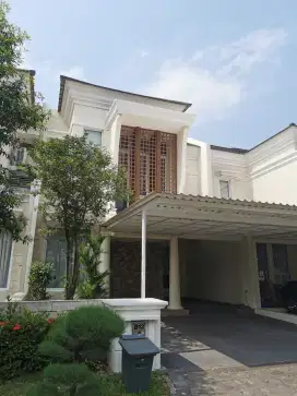 Greenwich Park cluster Sheffield BSD*