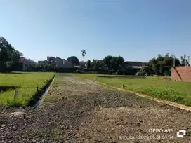 tanah murah dekat UIN,UNSUD ,alun2