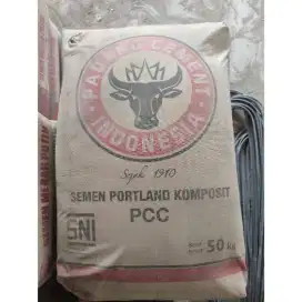 Semen Padang 50kg