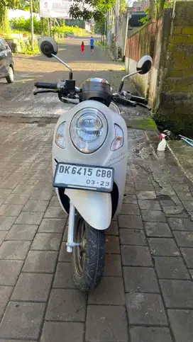 Honda scoopy prestige