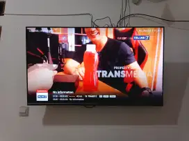 TV Coocaa 43 inch