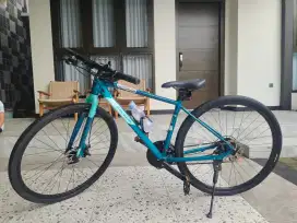 Polygon Fast 2 second mulus