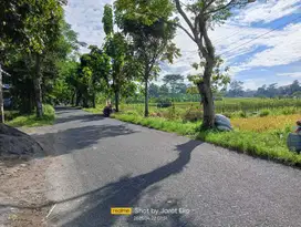 Tanah sawah sangat nyaman getas tlogoadi cebonga