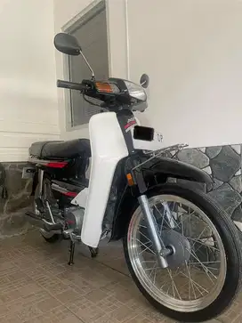 Astrea grand bulus