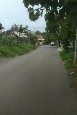 Tanah pingir jalan