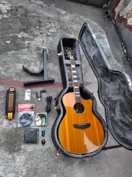 Gitar Akustik/Elektrik D'Angelico Originsl Fullset not cort,yamaha