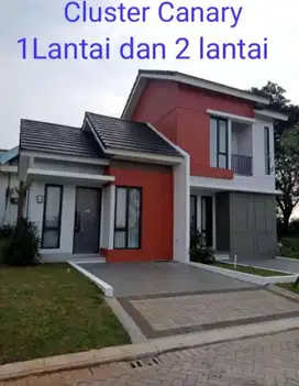 Cluster canary  pasar Kemis Tangerang DP.10%