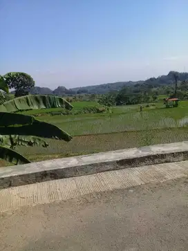 Sawah Produktif ,Akses Jln Mobil