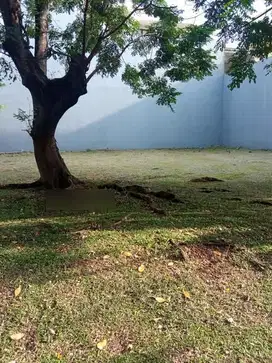 Dijual kavling pik katamaran permai pantai indah kapuk