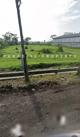 Tanah di Poros Pakisaji Malang