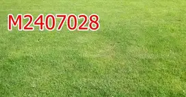 Dijual Tanah Kavling Citraland dkt Pakuwon WBM Royal Residence Graha