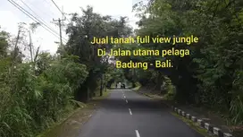 Tanah full view Jungle di Jalan utama pelaga Lingkungan asri dan sejuk
